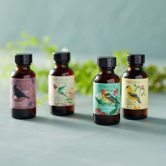 Sweet Bird Simple Syrups, Set of 4