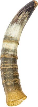 Weathered Steer Horn #2 Gallery Item | 306-W-2-G6043 9Uk12