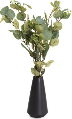 Eucalyptus In Volcano Vase