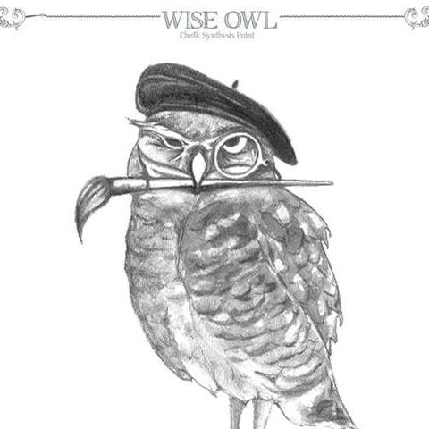 Wise Owl Paint Promo Codes & Coupons