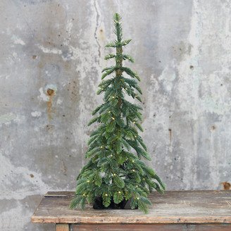 Faux Pre-lit LED Alpine Tabletop Tree