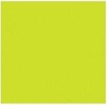 100 lb. Cardstock Paper 12 x 12 Wasabi Green 50 Sheets/Pack (1212-C-L22-50)