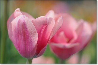 Cora Niele 'Tulip Flower Pink Mirella' Canvas Art - 47 x 30 x 2