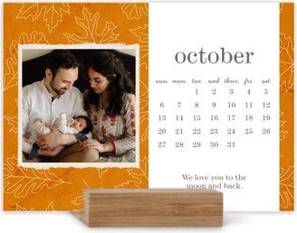 Easel Calendars: Seasonal Pattern Easel Calendar, Square Corners, Multicolor