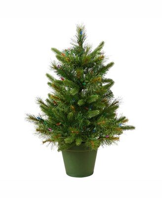 24 inch Cashmere Pine Artificial Christmas Tree With 50 Warm White Led Lights