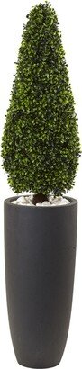 50 Boxwood Uv-Resistant Indoor/Outdoor Artificial Topiary with Gray Cylindrical Planter