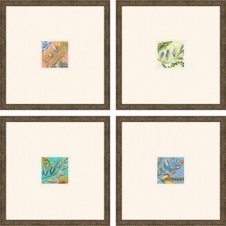 Paragon Picture Gallery Botanical Ii Framed Art, Set of 4