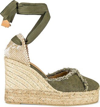 Clarina Wedge