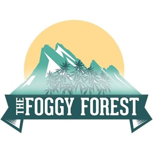 The Foggy Forest Promo Codes & Coupons