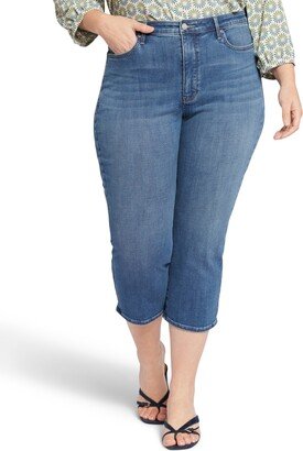 Plus Size Joni Relaxed Capri Jeans