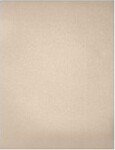 105 lb. Cardstock Paper 12 x 18 Metallic 50 Sheets/Pack (1218-C-M09-50)