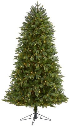 Oregon Fir Artificial Christmas Tree with 1350 Warm Micro Multifunction Led Lights with Remote Control, Instant Connect Technology and