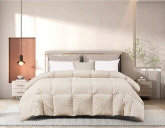 All-Season Feather & Down Comforter-AF