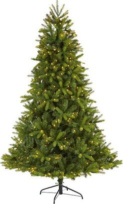 7-ft New Haven Spruce “Natural Look-in Artificial Christmas Tree with 500 LED Lights