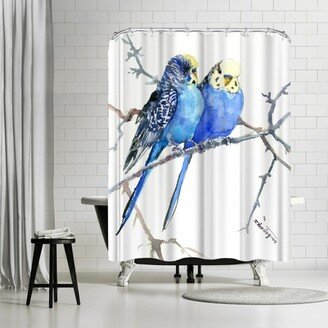 71 x 74 Shower Curtain, Budgies Parakeets 2 by Suren Nersisyan