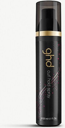 Curl Hold Spray