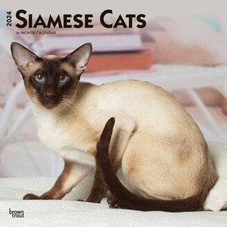 Browntrout 2024 Wall Calendar 12x12 Siamese Cats