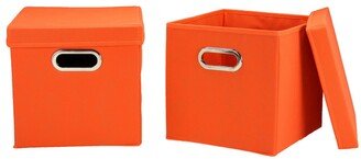 Household Essential Storage Bins with Lids, Set of 2