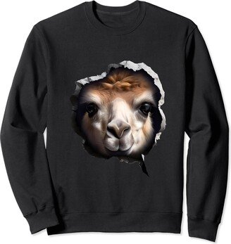 Llama Face Design Llama Face Sweatshirt