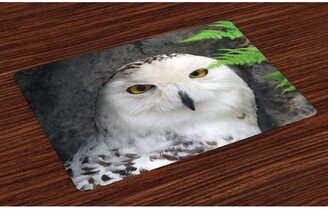 Wizard Place Mats, Set of 4