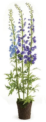 Napa Home & Garden Delphinium Drop-In