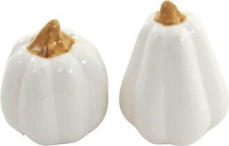 Tabletop Pumpkin Salt And Pepper Shaker - One Set Salt & Pepper Shaker 3.0 Inches - Halloween Fall - H8400 White - Dolomite - Multicolored