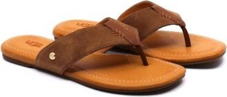 Carey Flip Flop Sandal In Chestnut