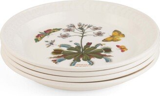 Botanic Garden Harmony Amber 4 Piece Salad Plate Set