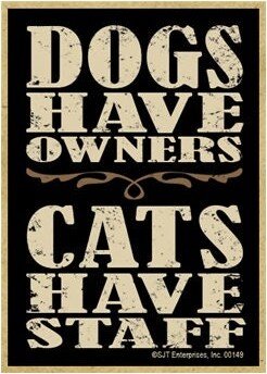 Dogs Have Owners Cats Staff Wood Magnet Fridge Kitchen Locker Any Metal Surface Home Gift Made in USA 2.5