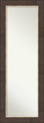 Non-Beveled Full Length On The Door Mirror 53 x 19 in. - Lined Frame - Lined Bronze - 19 x 53 in