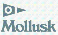 Mollusk Surf Shop Promo Codes & Coupons