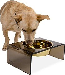 Hiddin Bronze Single Bowl Dog Feeder