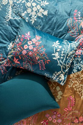 Velvet Venus Shams, Set of 2