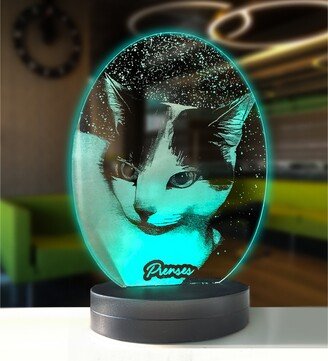 Cat Photo Lamp, Memorial Pet Lover Gifts, 3D Led Night Light, Custom Desk Lamp