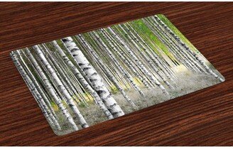 Birch Tree Place Mats, Set of 4