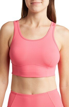 Clear Day Sports Bra