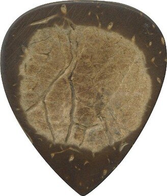 Coconut Shell Exotic Picks 3-Pack