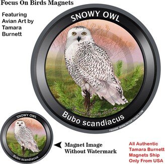 Snowy Owl Spring Scene Focus On Bird Magnet