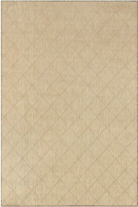 Ray Diamond Indoor/Outdoor Polypropylene & Polyester Area Rug