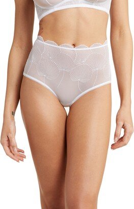 Lace & Mesh High Waist Briefs