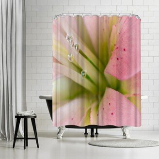 71 x 74 Shower Curtain, Lily With Raindrops II by Melanie Viola