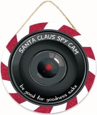 10.5In Santa Spy Camera Sign