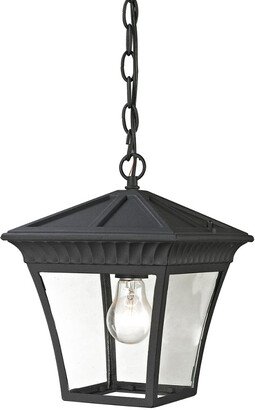 Artistic Home & Lighting Ridgewood 1-Light Outdoor Pendant