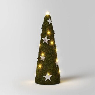 13 Battery Operated Lit Artificial Moss with Stars Christmas Tree Sculpture - Wondershop™ Green