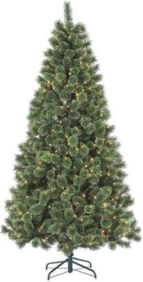 Sterling Tree Company 6 Foot Cashmere Pine Tree With 412 Tips And 400 Ul Incandescent Lights