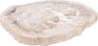 Soho Home Petrified-Wood Serveboard