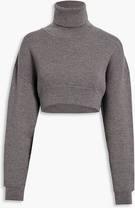 Cropped ribbed wool turtleneck sweater