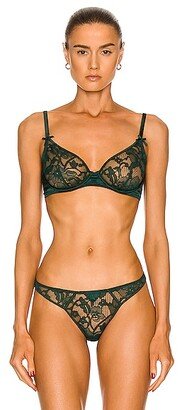 Magnolia Lace Unlined Demi Bra in Dark Green