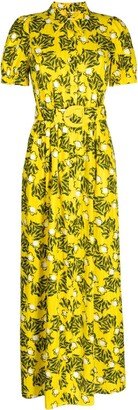 Paddy graphic-print maxi dress