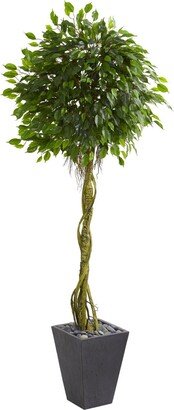 6' Ficus Artificial Tree in Slate Planter Uv Resistant